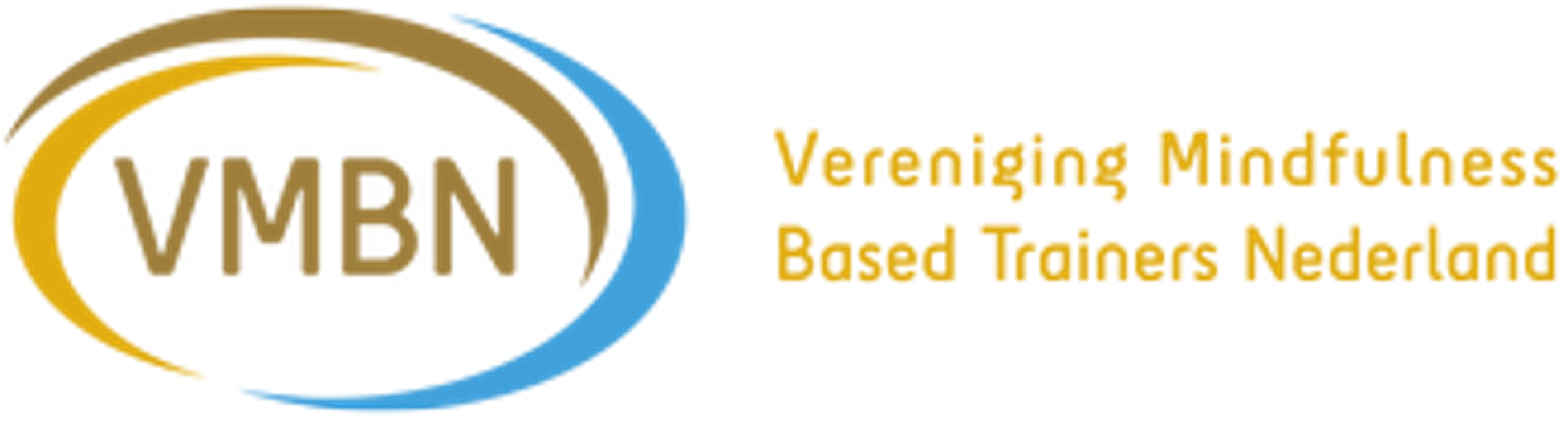 VMBN logo